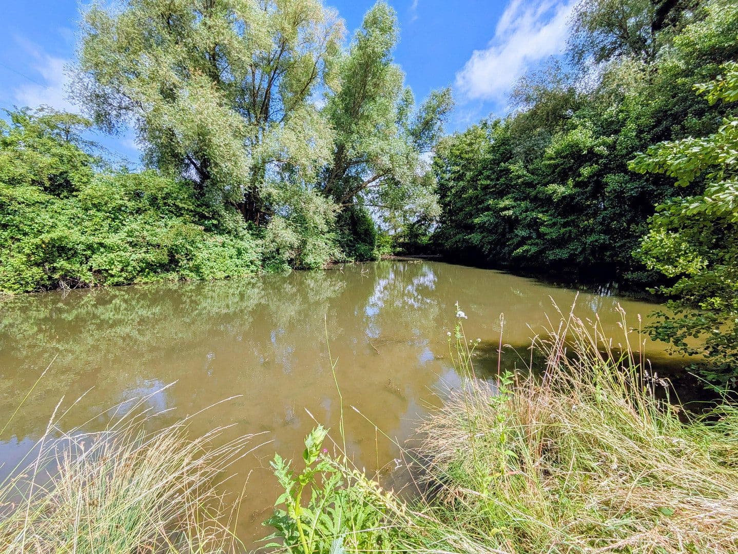 plot for sale, 9,037 m², Rodenberg, Lower Saxony plot for sale, 9,037 m², Rodenberg, Lower Saxony