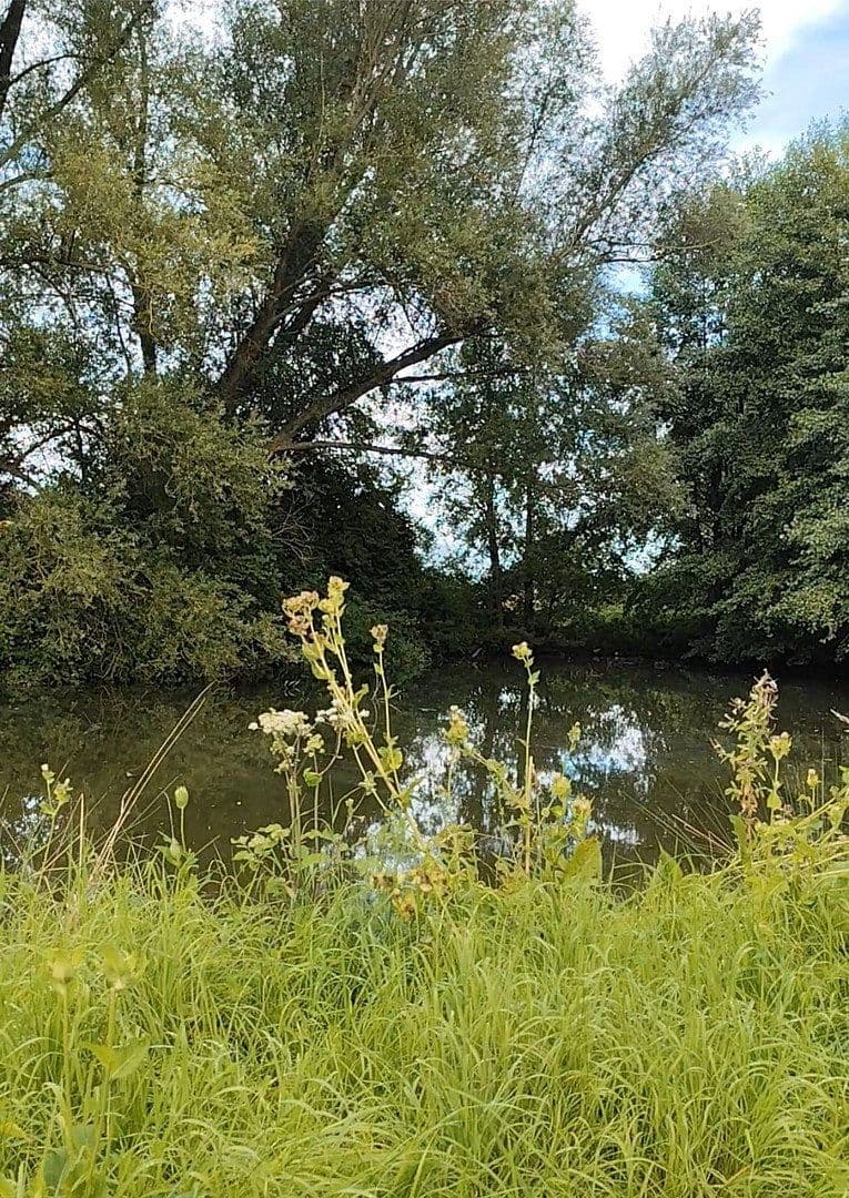 plot for sale, 9,037 m², Rodenberg, Lower Saxony plot for sale, 9,037 m², Rodenberg, Lower Saxony