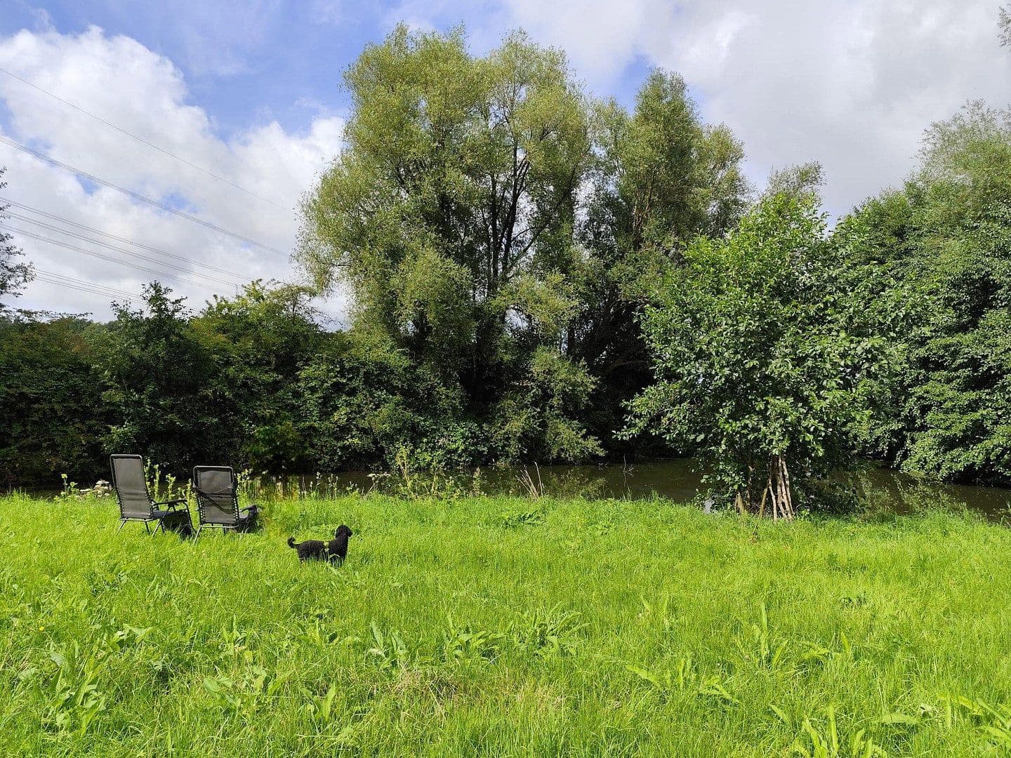 plot for sale, 9,037 m², Rodenberg, Lower Saxony plot for sale, 9,037 m², Rodenberg, Lower Saxony