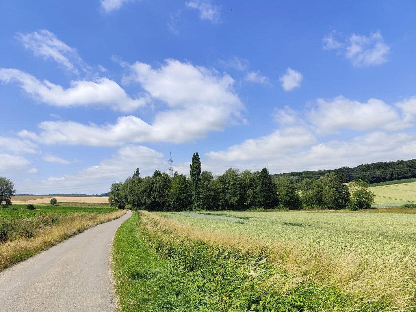 plot for sale, 9,037 m², Rodenberg, Lower Saxony plot for sale, 9,037 m², Rodenberg, Lower Saxony