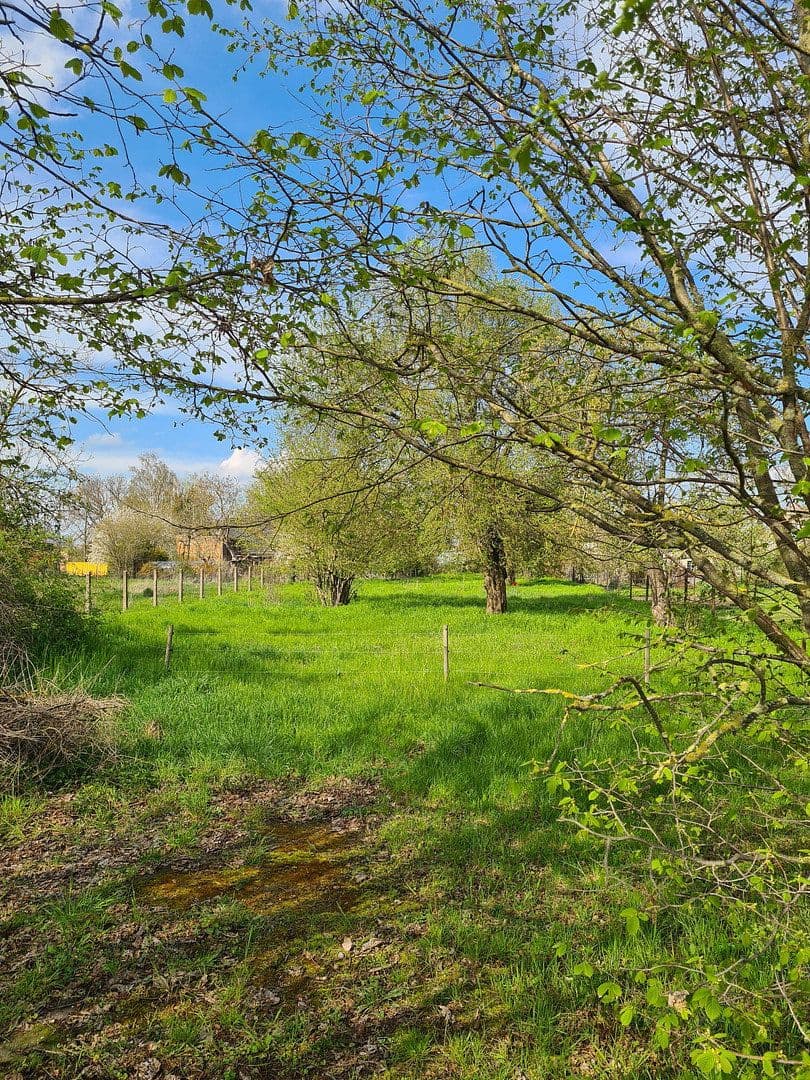 plot for sale, 1,900 m², Pobziger Hauptstraße 25, Nienburg (Saale), Saxony-Anhalt plot for sale, 1,900 m², Pobziger Hauptstraße 25, Nienburg (Saale), Saxony-Anhalt