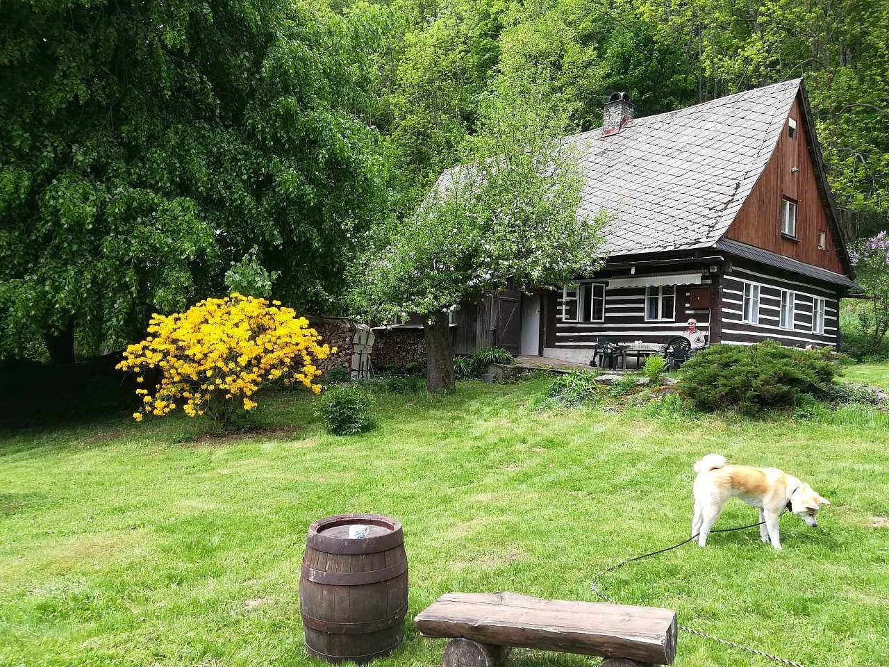 recreational property to rent, 0 m², Těchonín, Pardubický Region recreational property to rent, 0 m², Těchonín, Pardubický Region