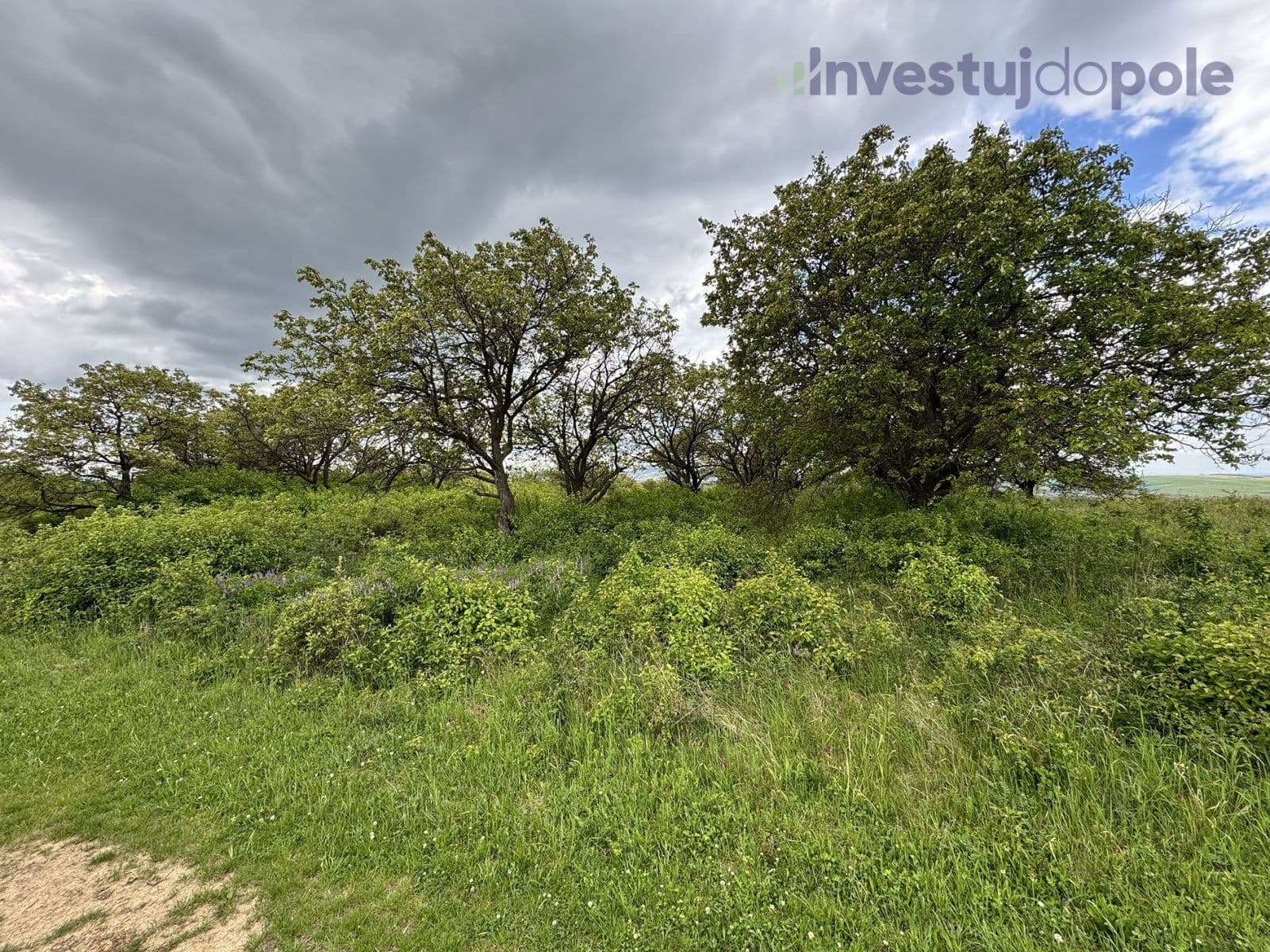 plot for sale, 14,274 m², Hustopeče, Jihomoravský Region plot for sale, 14,274 m², Hustopeče, Jihomoravský Region