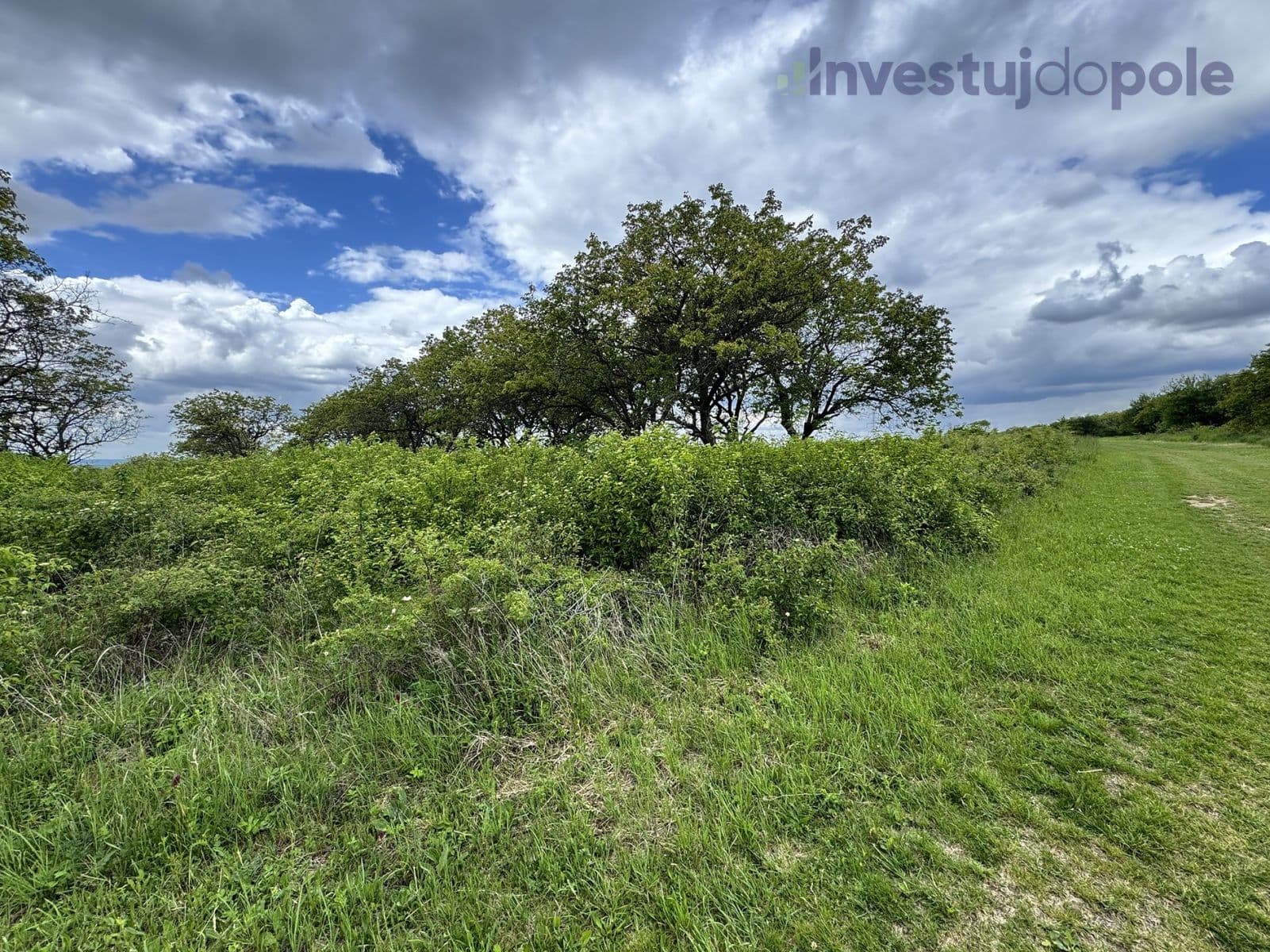 plot for sale, 14,274 m², Hustopeče, Jihomoravský Region plot for sale, 14,274 m², Hustopeče, Jihomoravský Region