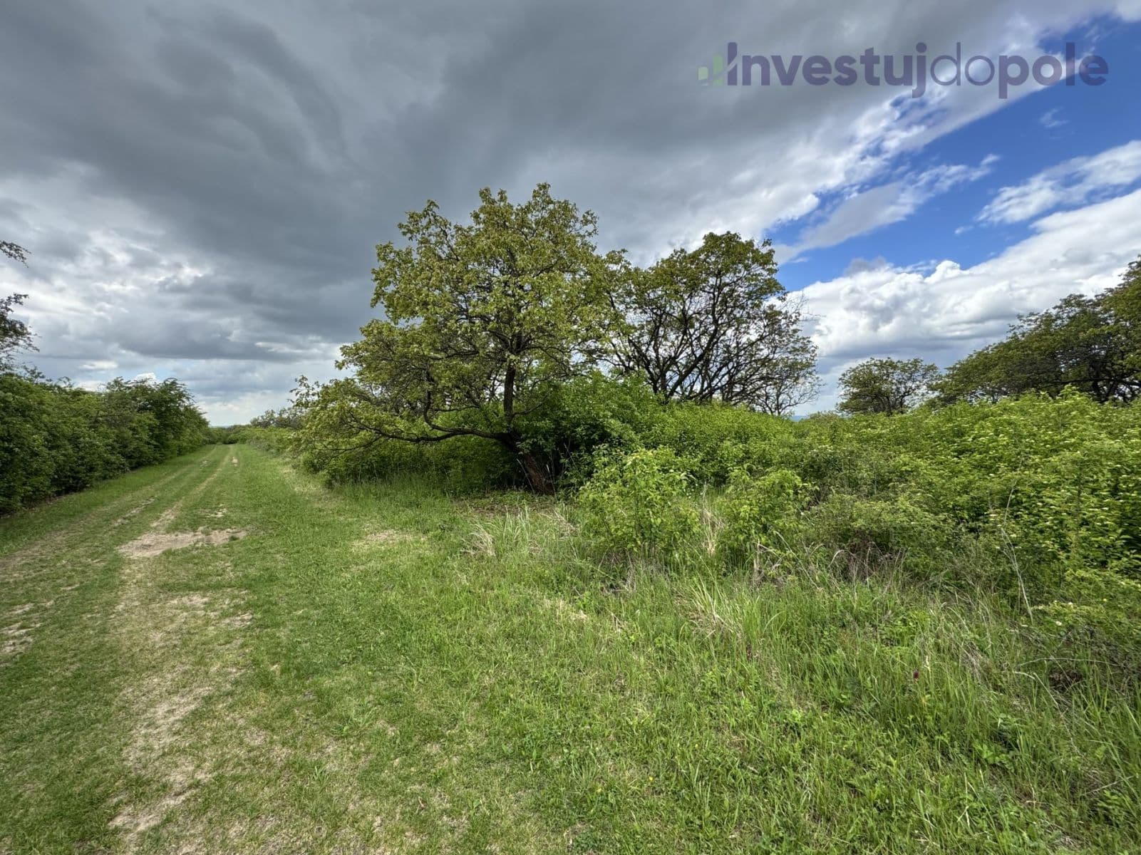 plot for sale, 14,274 m², Hustopeče, Jihomoravský Region plot for sale, 14,274 m², Hustopeče, Jihomoravský Region