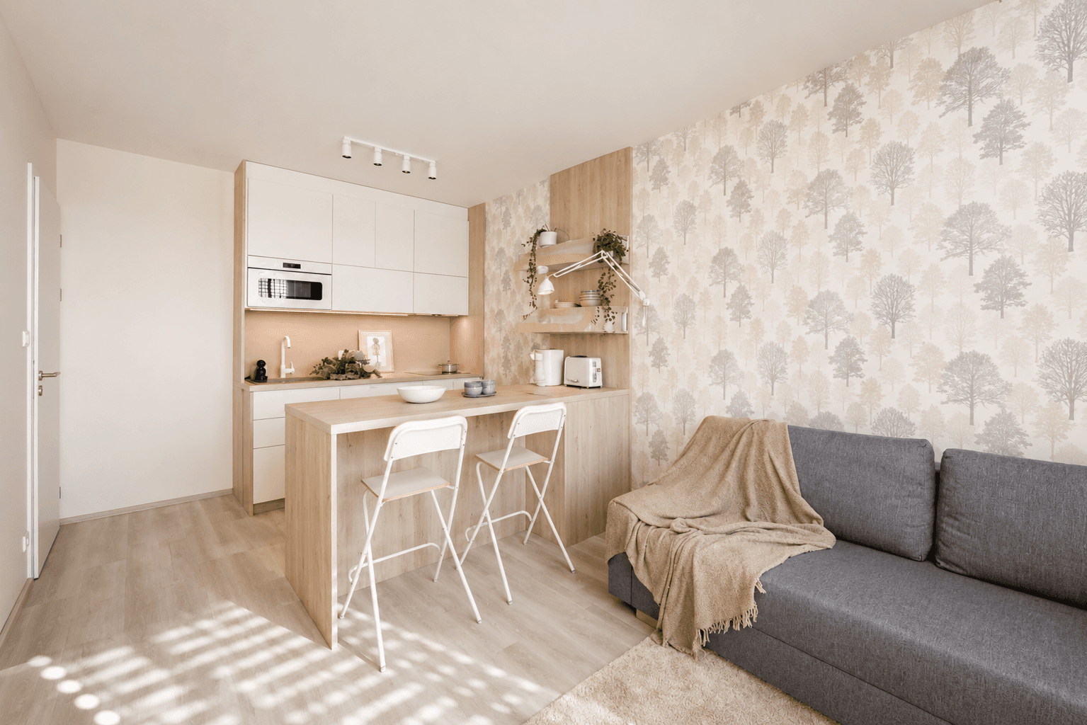 1 bedroom with open-plan kitchen flat to rent, 55 m², Ondrákové, Prague, Prague 1 bedroom with open-plan kitchen flat to rent, 55 m², Ondrákové, Prague, Prague