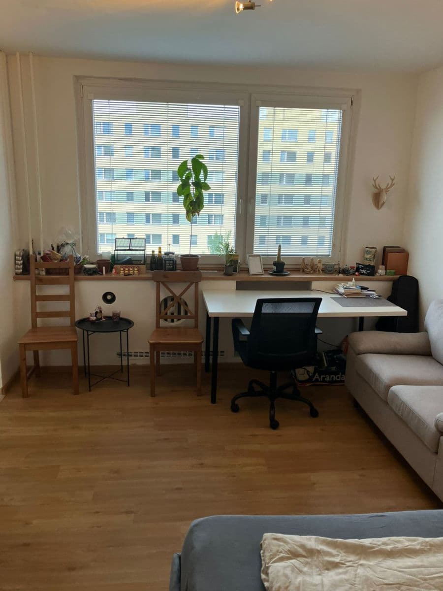 Studio flat to rent, 32 m², Benkova, Prague, Prague Studio flat to rent, 32 m², Benkova, Prague, Prague