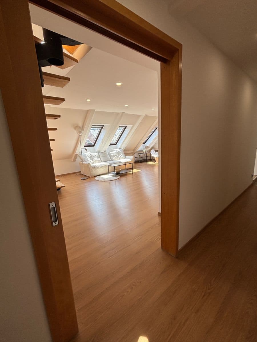 1 bedroom with open-plan kitchen flat for sale, 106 m², Navrátilova, Prague, Prague 1 bedroom with open-plan kitchen flat for sale, 106 m², Navrátilova, Prague, Prague