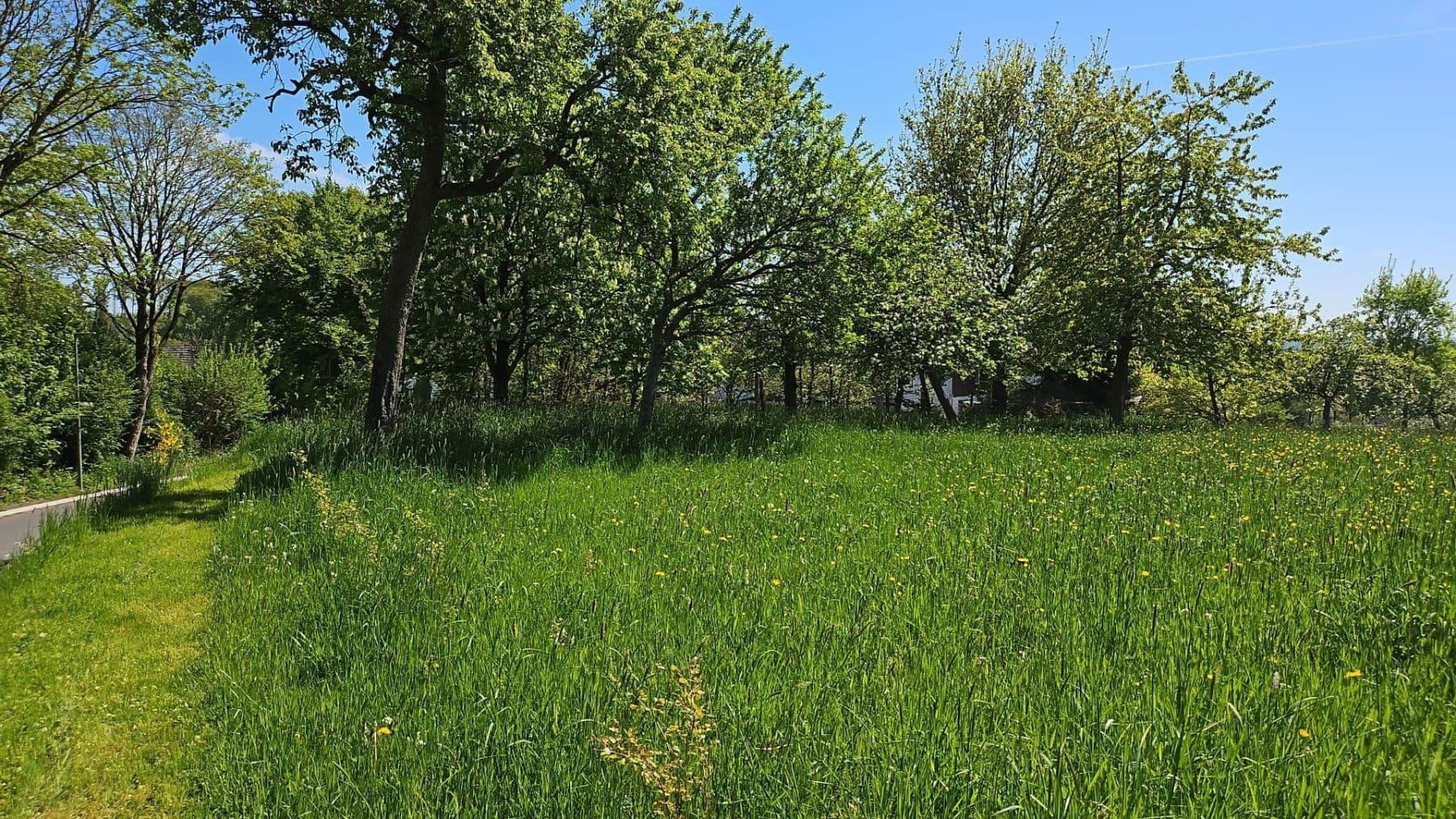 plot for sale, 726 m², Hauptstraße 25, Busenhausen, Rhineland-Palatinate plot for sale, 726 m², Hauptstraße 25, Busenhausen, Rhineland-Palatinate