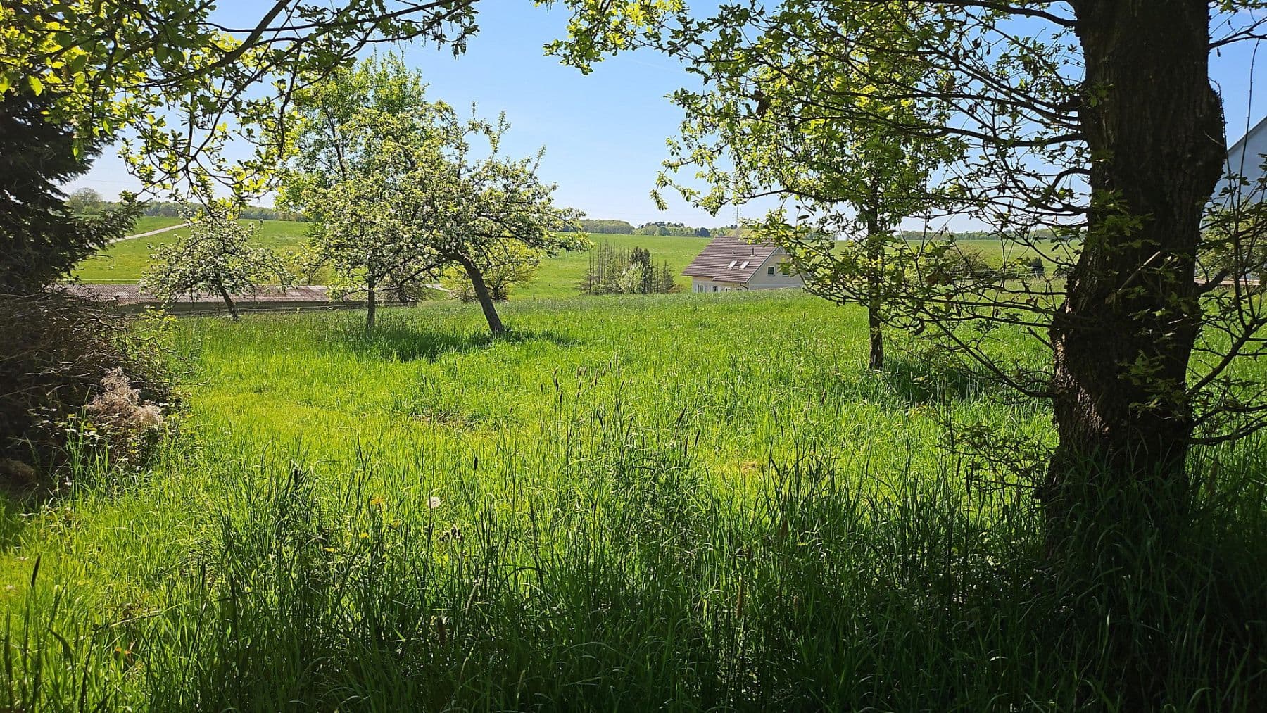 plot for sale, 726 m², Hauptstraße 25, Busenhausen, Rhineland-Palatinate plot for sale, 726 m², Hauptstraße 25, Busenhausen, Rhineland-Palatinate