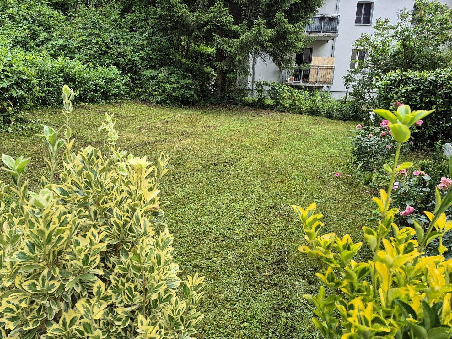 3 bedroom flat to rent, 80 m², Dresden, Saxony 3 bedroom flat to rent, 80 m², Dresden, Saxony