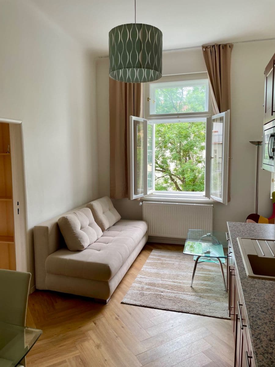 1 bedroom with open-plan kitchen flat to rent, 45 m², Finská, Prague, Prague 1 bedroom with open-plan kitchen flat to rent, 45 m², Finská, Prague, Prague