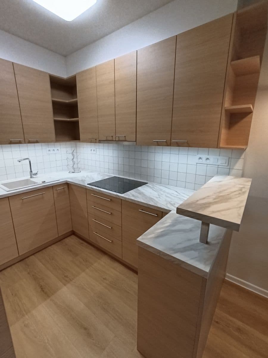 1 bedroom with open-plan kitchen flat for sale, 52 m², Zeyerova, Písek, Jihočeský Region 1 bedroom with open-plan kitchen flat for sale, 52 m², Zeyerova, Písek, Jihočeský Region