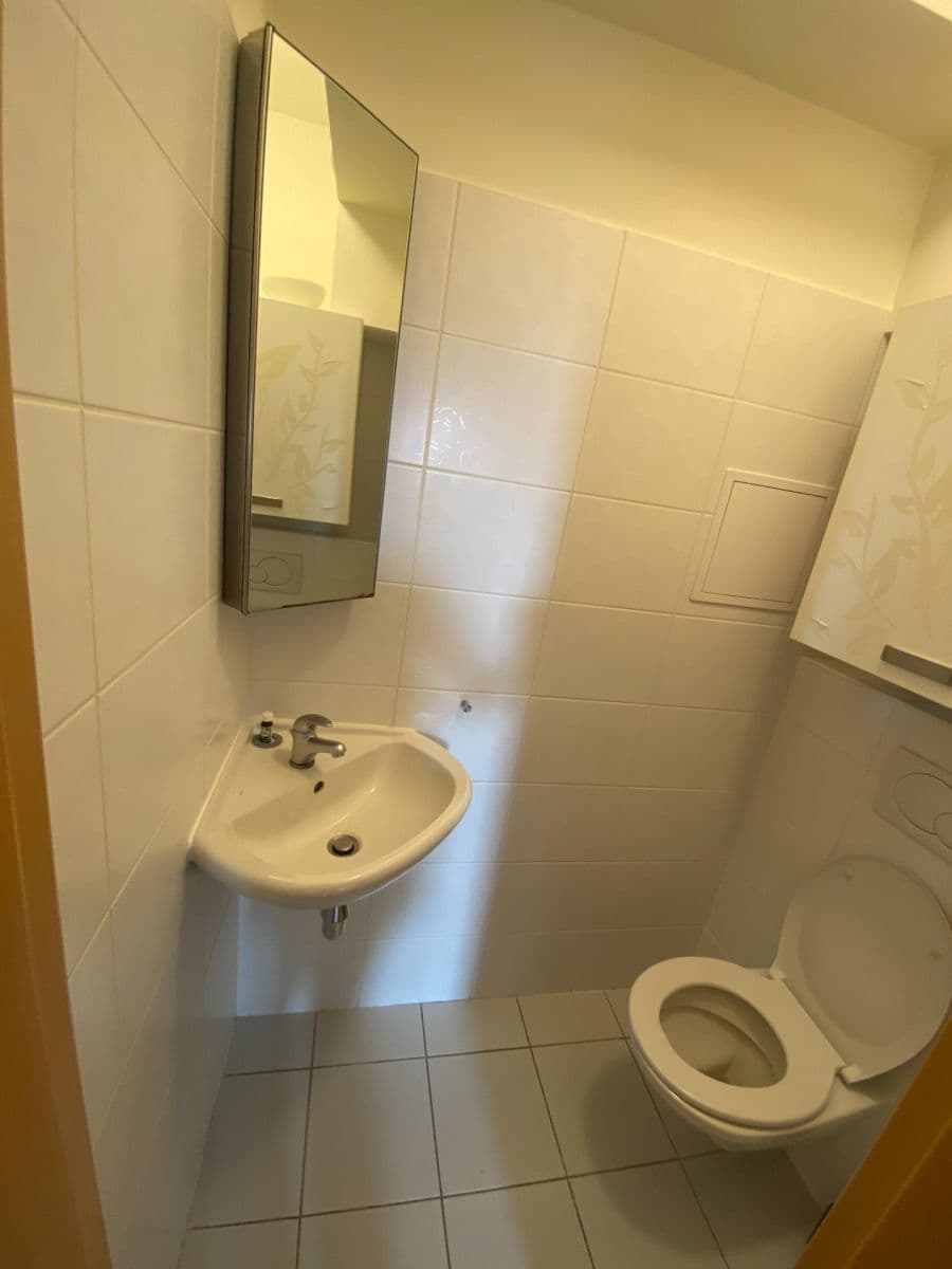 3 bedroom with open-plan kitchen flat to rent, 102 m², Národních mučedníků, Hradec Králové, Královéhradecký Region 3 bedroom with open-plan kitchen flat to rent, 102 m², Národních mučedníků, Hradec Králové, Královéhradecký Region