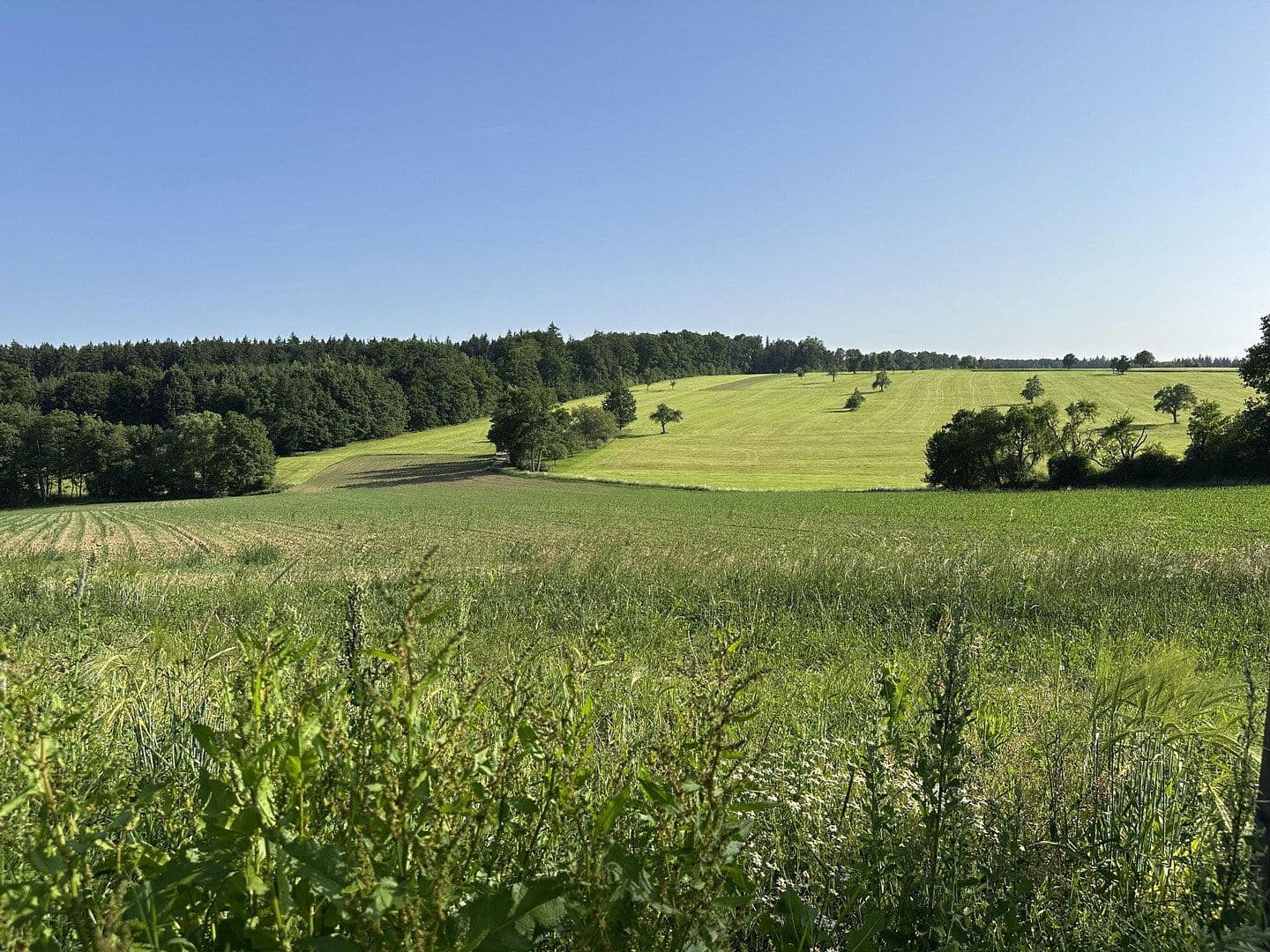 plot for sale, 353 m², Enzianweg 30, Schorndorf, Baden-Württemberg plot for sale, 353 m², Enzianweg 30, Schorndorf, Baden-Württemberg