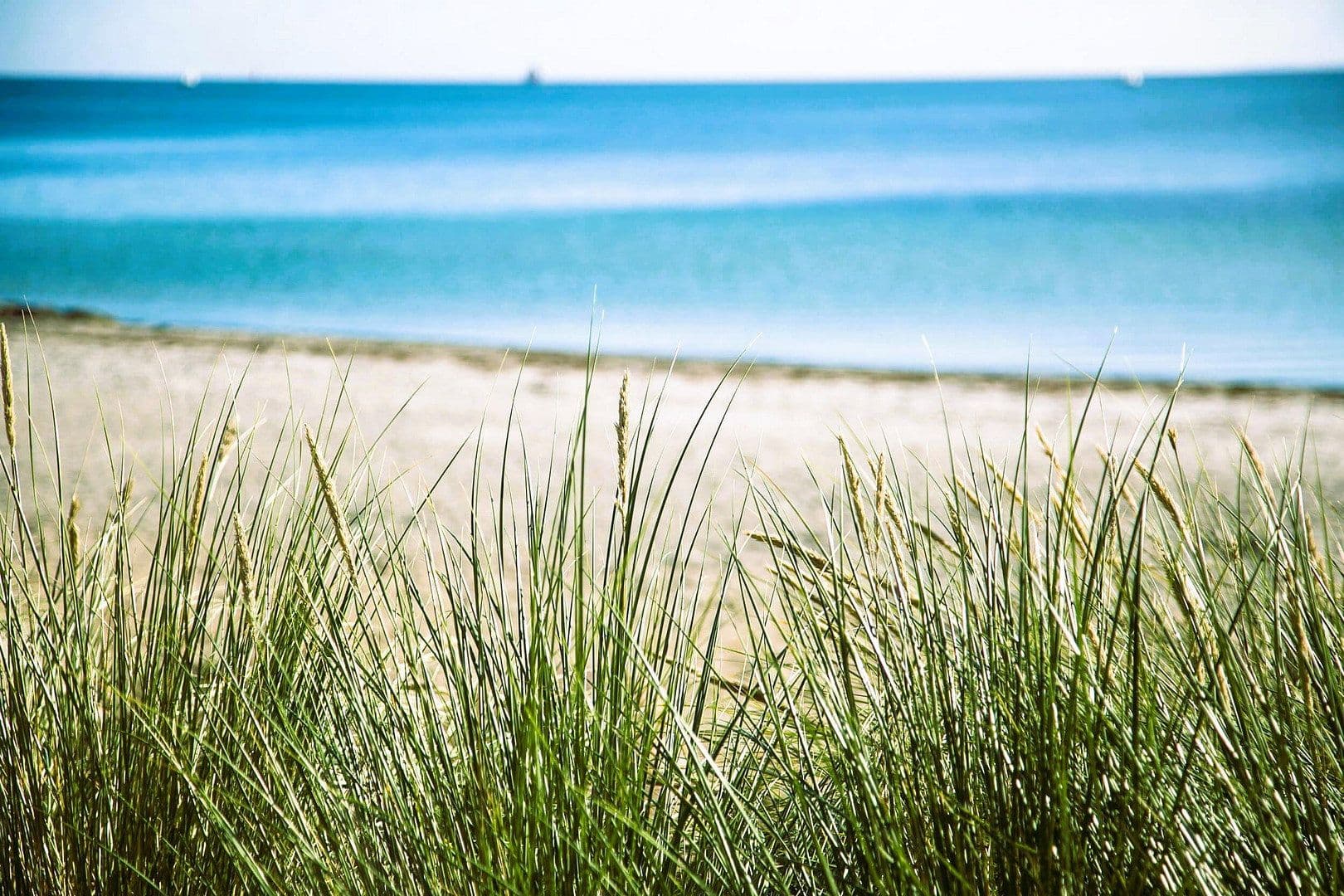 plot for sale, 11,500 m², Dassow, Mecklenburg-Vorpommern plot for sale, 11,500 m², Dassow, Mecklenburg-Vorpommern