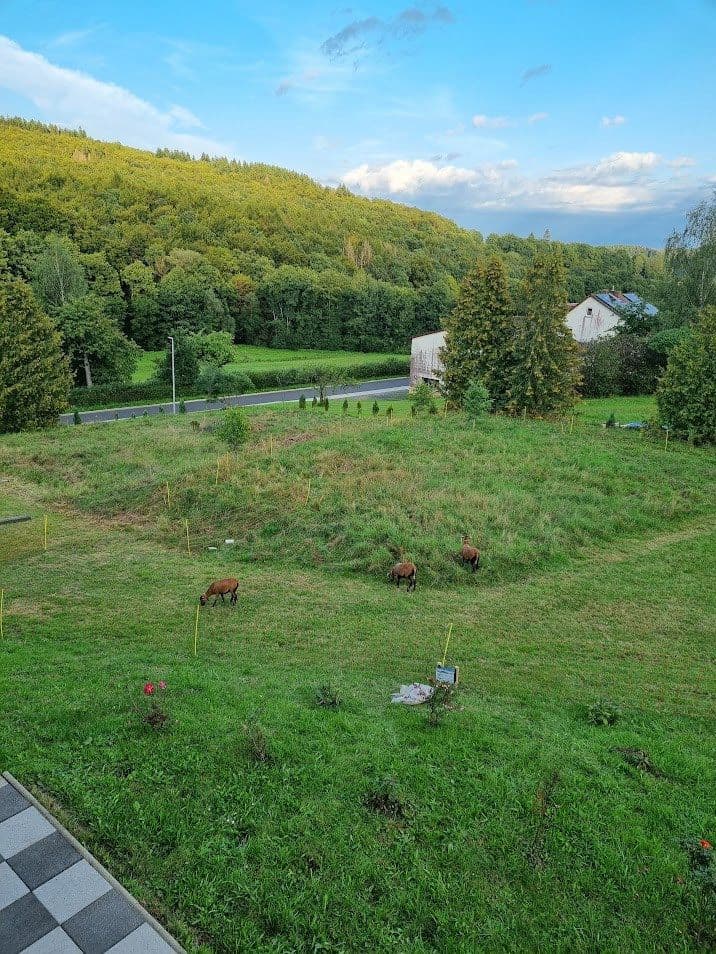 non-residential property to rent, 2,169 m², Quellenweg 4, Gilserberg, Hesse non-residential property to rent, 2,169 m², Quellenweg 4, Gilserberg, Hesse