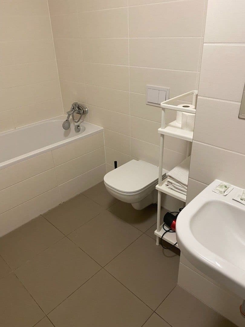 Studio flat to rent, 45 m², U Mlýnského kanálu, Prague, Prague Studio flat to rent, 45 m², U Mlýnského kanálu, Prague, Prague