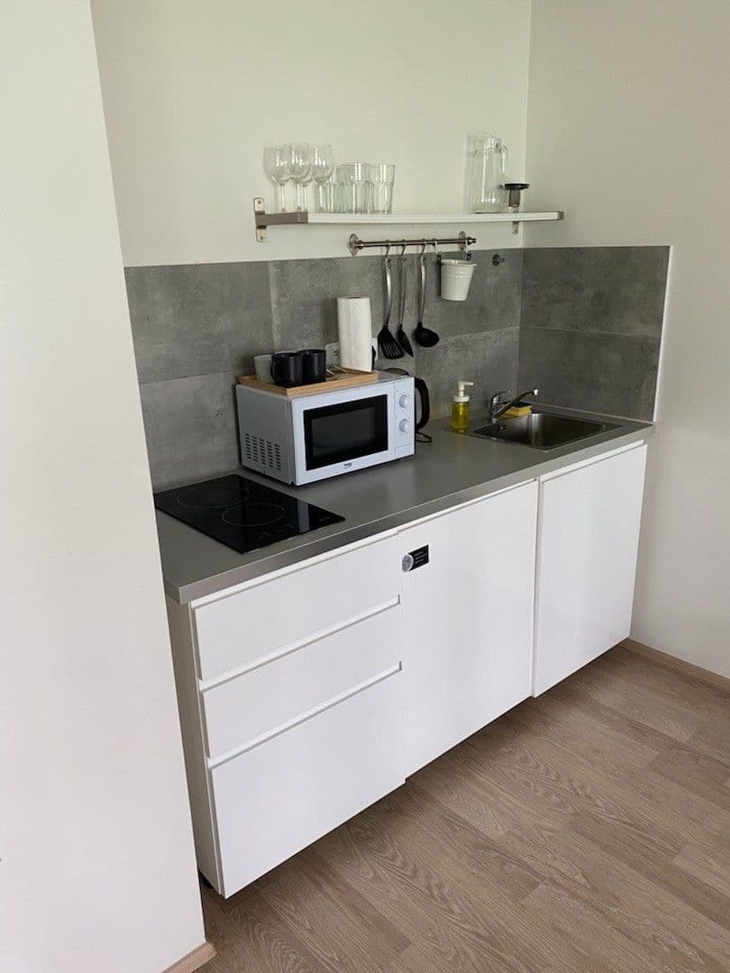 Studio flat to rent, 45 m², U Mlýnského kanálu, Prague, Prague Studio flat to rent, 45 m², U Mlýnského kanálu, Prague, Prague