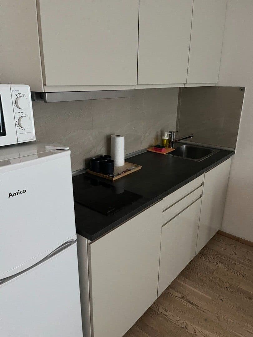 Studio flat to rent, 35 m², Olšanská, Prague, Prague Studio flat to rent, 35 m², Olšanská, Prague, Prague