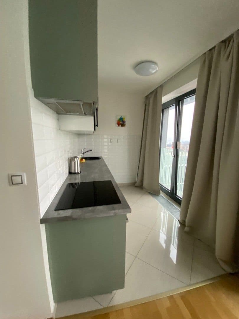 1 bedroom with open-plan kitchen flat to rent, 75 m², Olšanská, Prague, Prague 1 bedroom with open-plan kitchen flat to rent, 75 m², Olšanská, Prague, Prague