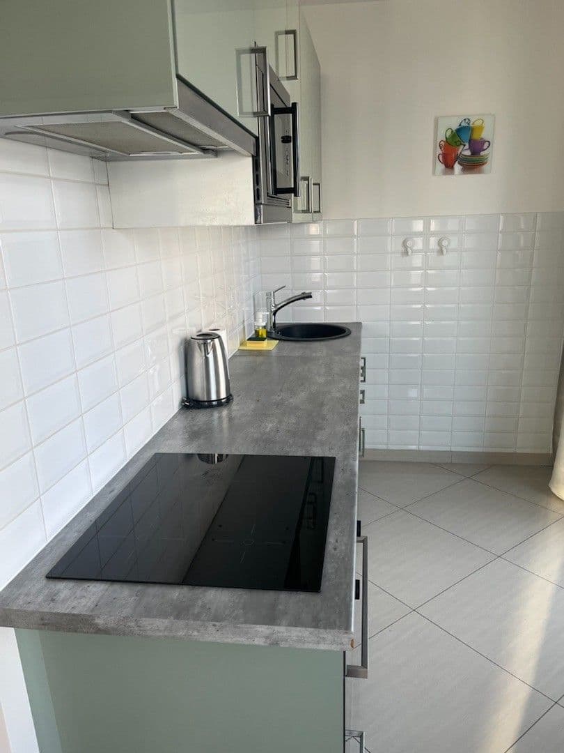 1 bedroom with open-plan kitchen flat to rent, 75 m², Olšanská, Prague, Prague 1 bedroom with open-plan kitchen flat to rent, 75 m², Olšanská, Prague, Prague