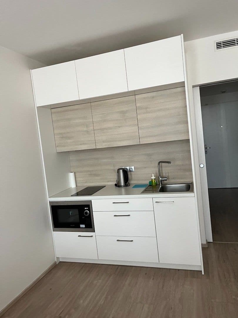 Studio flat to rent, 38 m², Kurta Konráda, Prague, Prague Studio flat to rent, 38 m², Kurta Konráda, Prague, Prague