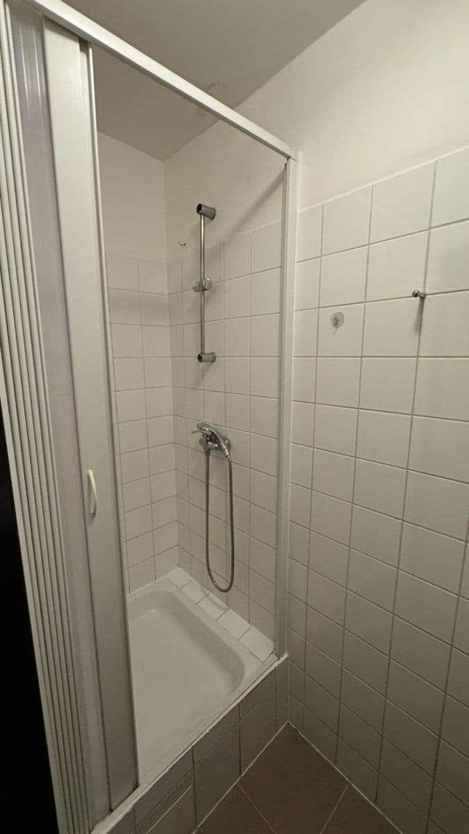 1 bedroom with open-plan kitchen flat to rent, 39 m², Heydukova, Prague, Prague 1 bedroom with open-plan kitchen flat to rent, 39 m², Heydukova, Prague, Prague