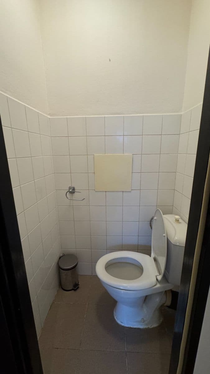 1 bedroom with open-plan kitchen flat to rent, 39 m², Heydukova, Prague, Prague 1 bedroom with open-plan kitchen flat to rent, 39 m², Heydukova, Prague, Prague