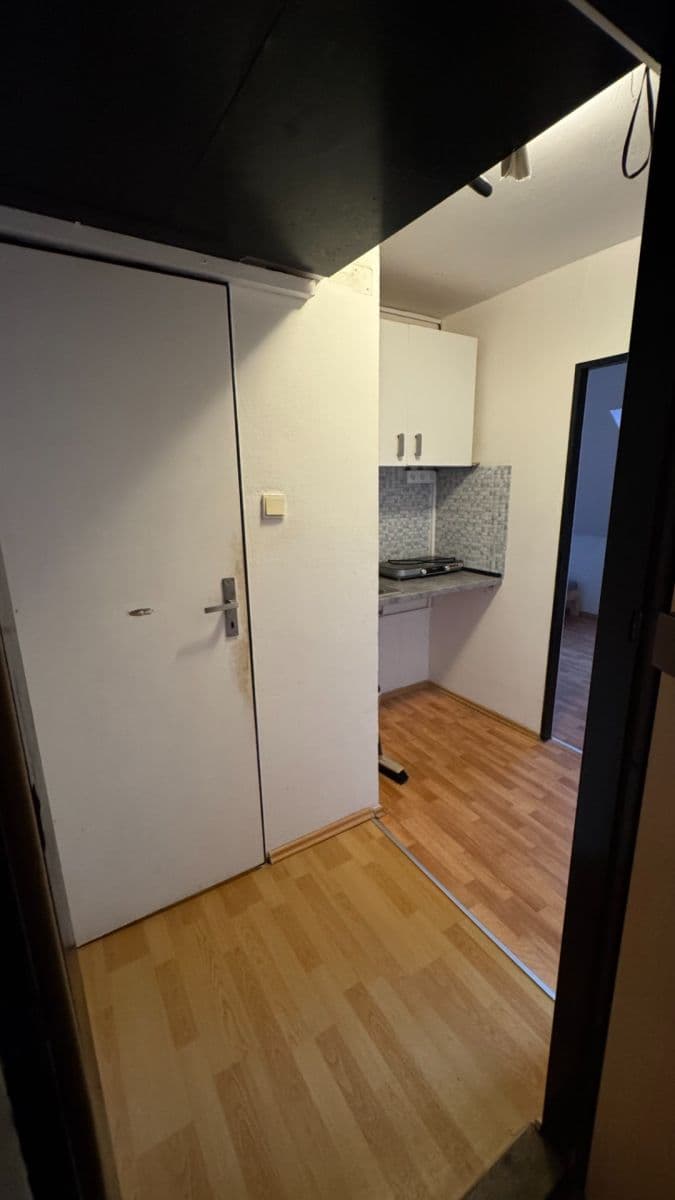 1 bedroom with open-plan kitchen flat to rent, 39 m², Heydukova, Prague, Prague 1 bedroom with open-plan kitchen flat to rent, 39 m², Heydukova, Prague, Prague