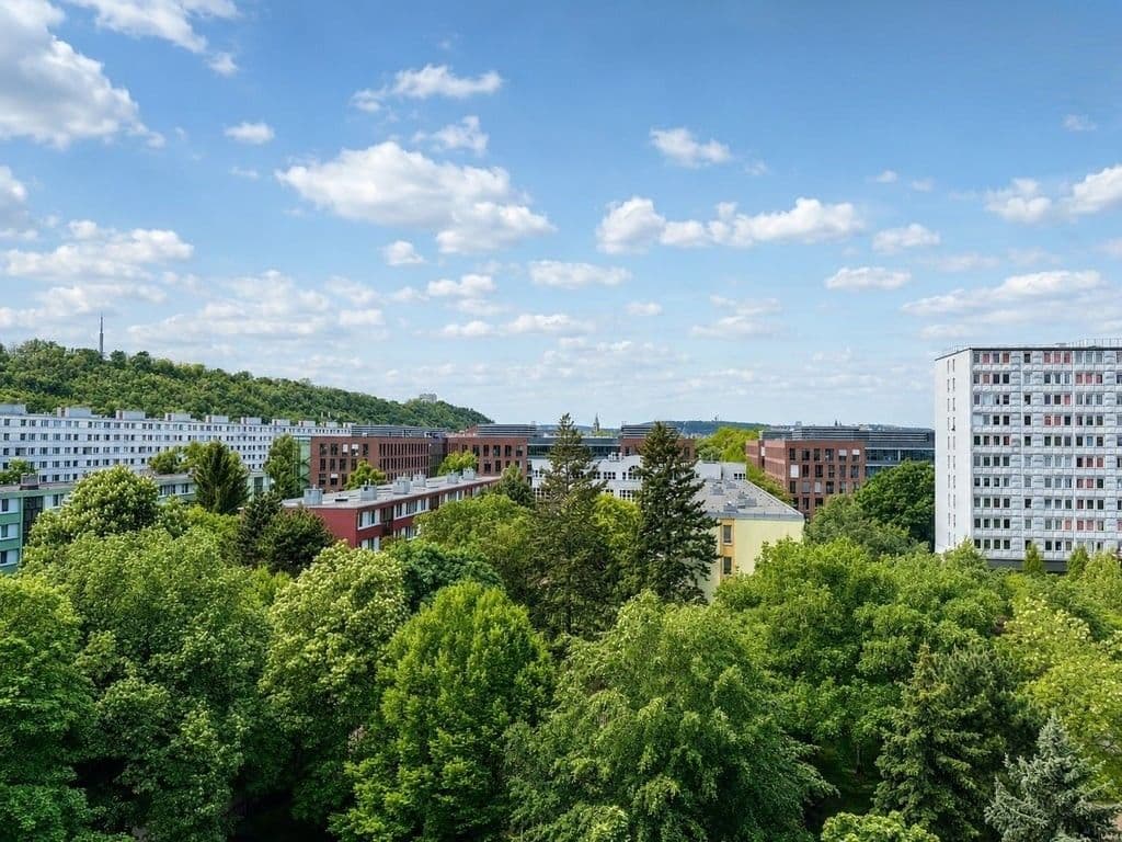 1 bedroom with open-plan kitchen flat to rent, 40 m², Nekvasilova, Prague, Prague 1 bedroom with open-plan kitchen flat to rent, 40 m², Nekvasilova, Prague, Prague