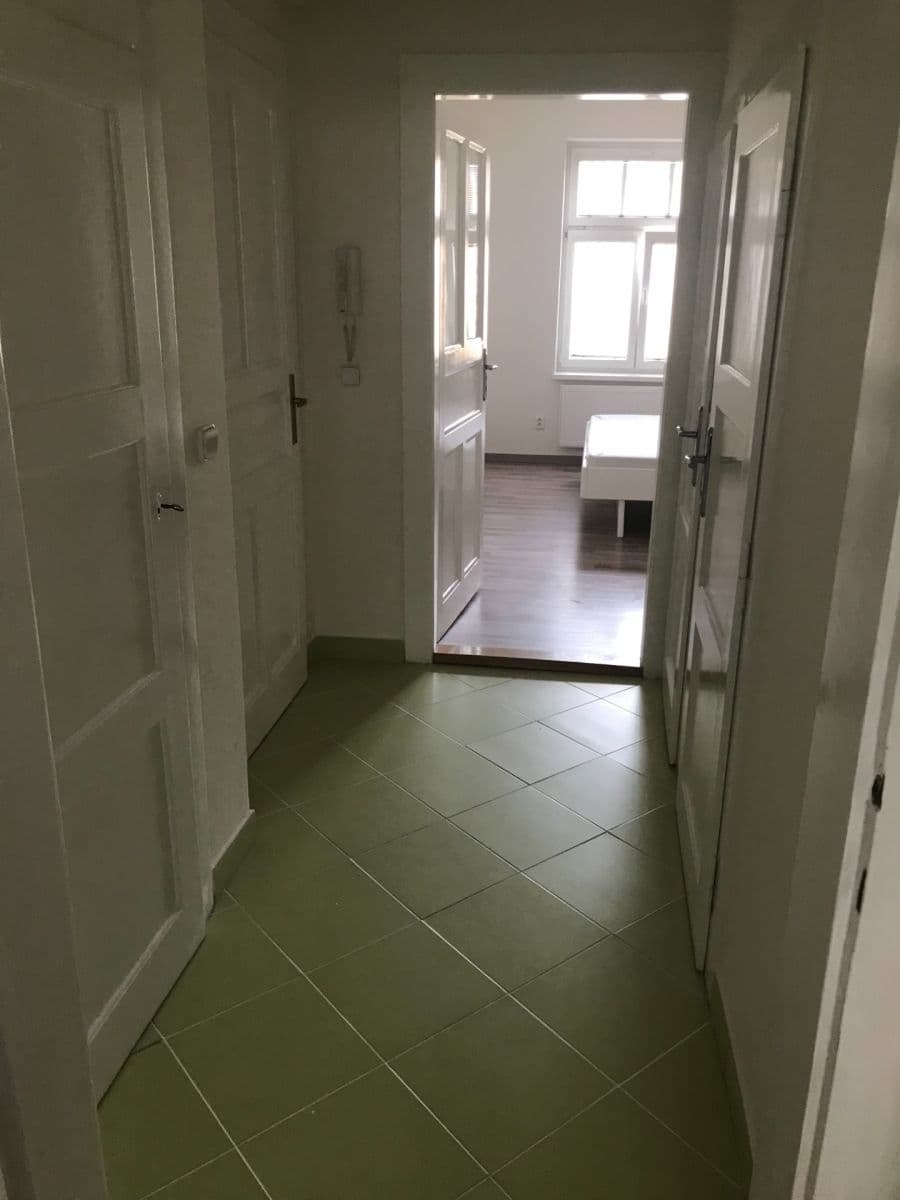 1 bedroom with open-plan kitchen flat to rent, 42 m², Biskupcova, Prague, Prague 1 bedroom with open-plan kitchen flat to rent, 42 m², Biskupcova, Prague, Prague