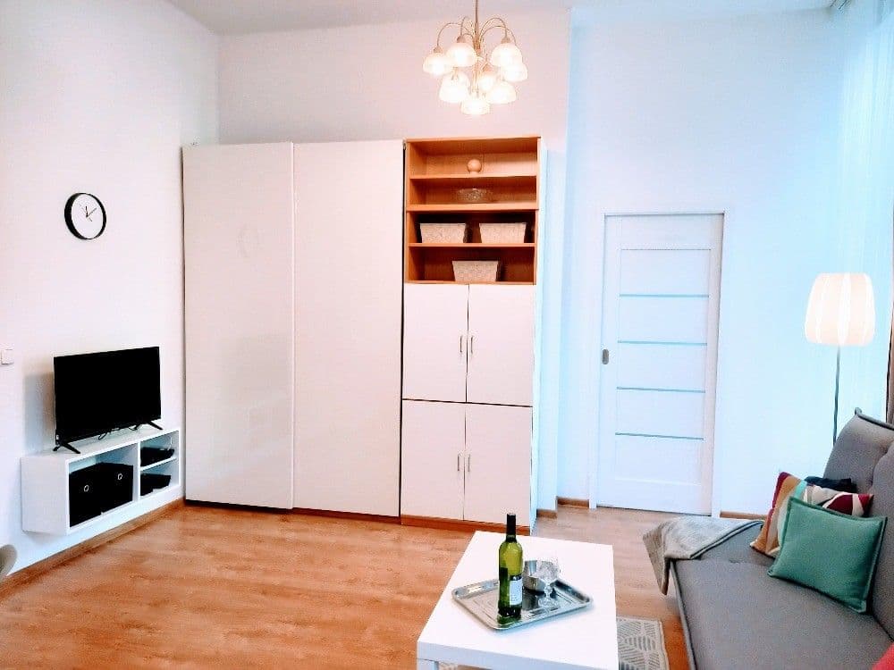 1 bedroom with open-plan kitchen flat to rent, 40 m², Mojmírova, Prague, Prague 1 bedroom with open-plan kitchen flat to rent, 40 m², Mojmírova, Prague, Prague