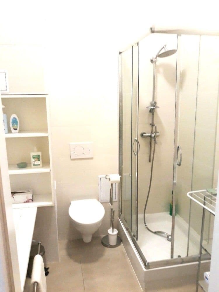 1 bedroom with open-plan kitchen flat to rent, 40 m², Mojmírova, Prague, Prague 1 bedroom with open-plan kitchen flat to rent, 40 m², Mojmírova, Prague, Prague