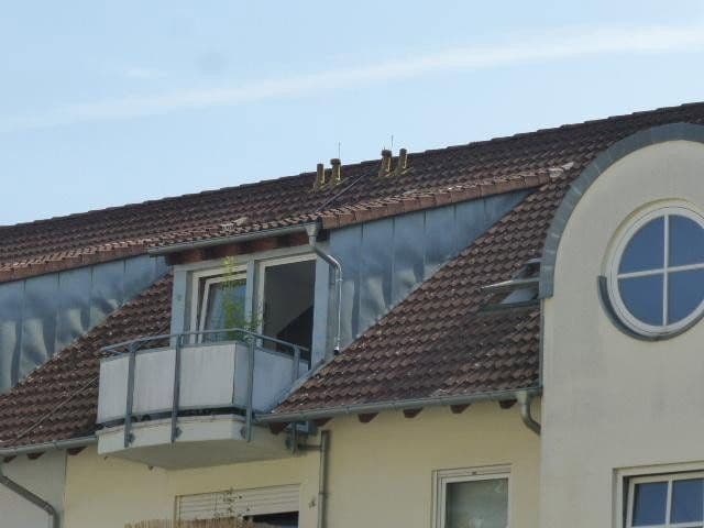 1 bedroom flat to rent, 31 m², Müllheim im Markgräflerland, Baden-Württemberg 1 bedroom flat to rent, 31 m², Müllheim im Markgräflerland, Baden-Württemberg