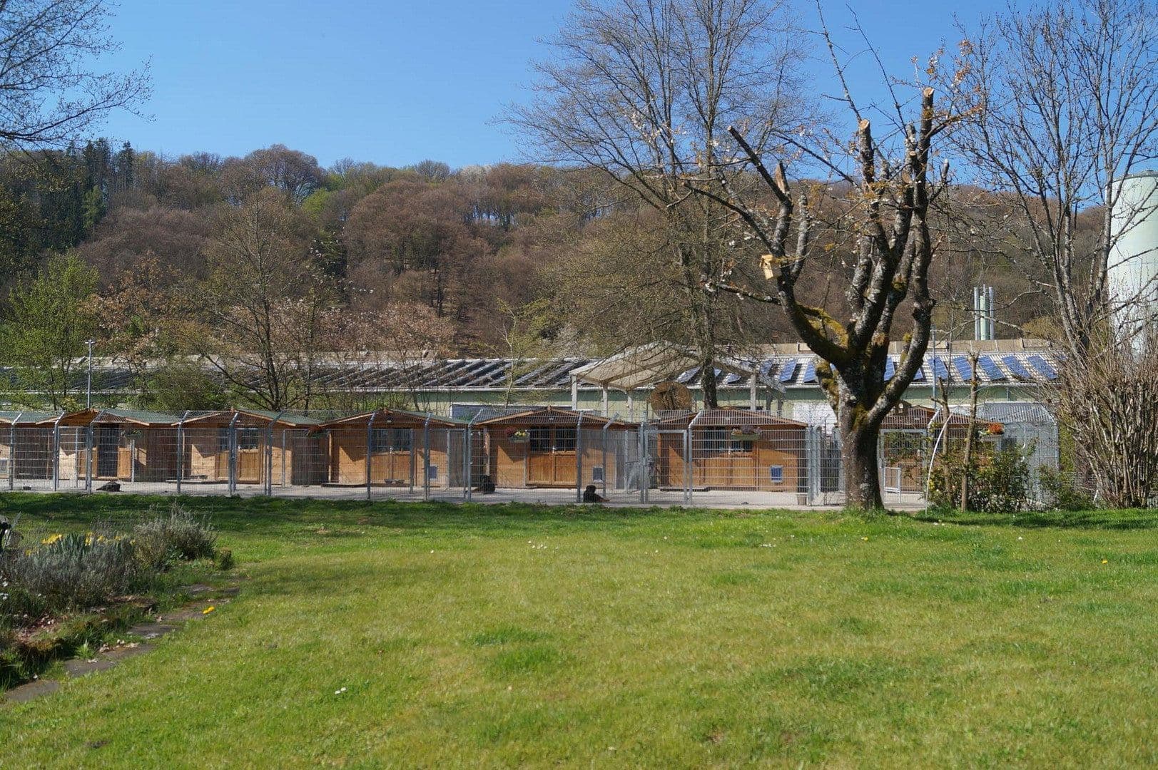 house for sale, 250 m², Waldfischbach-Burgalben, Rhineland-Palatinate house for sale, 250 m², Waldfischbach-Burgalben, Rhineland-Palatinate