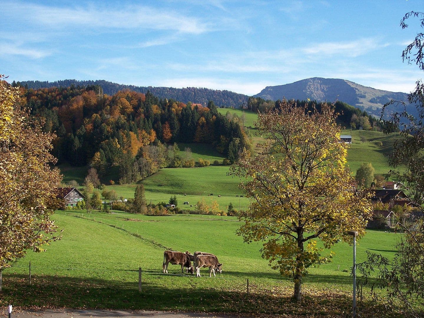 house for sale, 230 m², Oberstaufen, Bavaria house for sale, 230 m², Oberstaufen, Bavaria