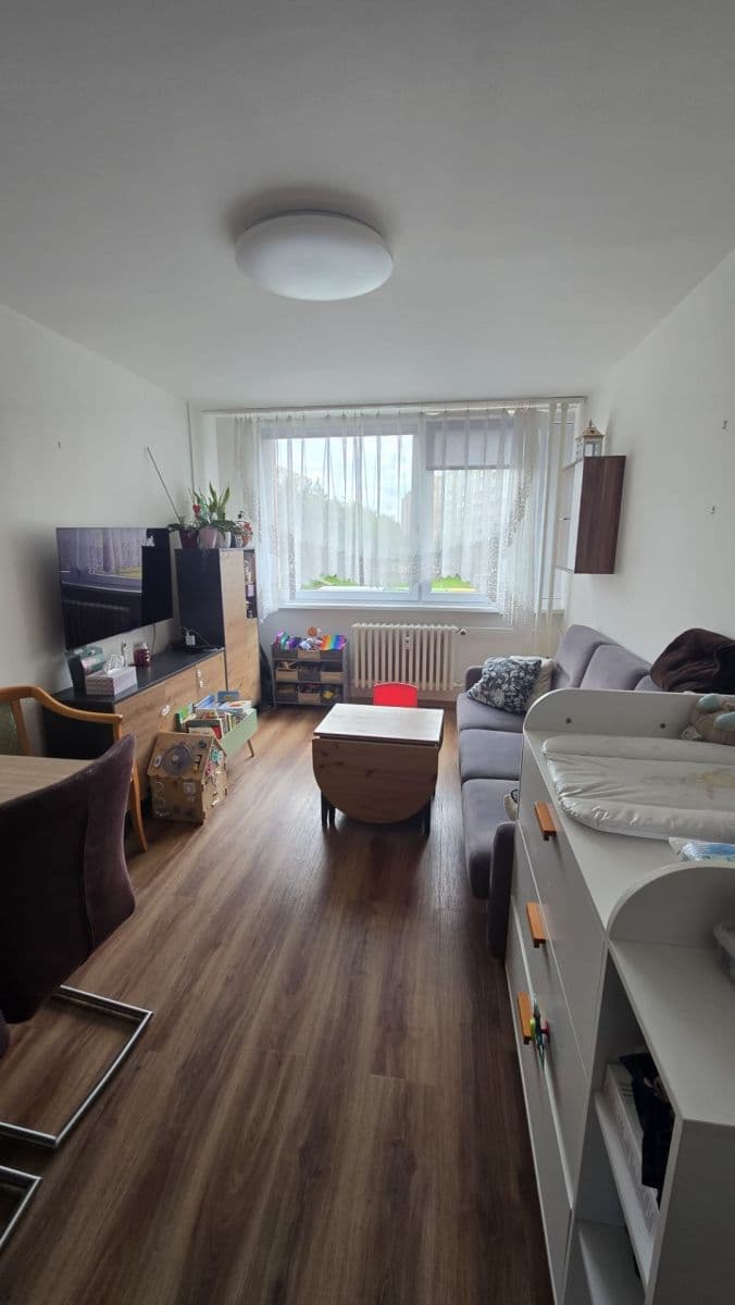 1 bedroom with open-plan kitchen flat to rent, 49 m², Milánská, Prague, Prague 1 bedroom with open-plan kitchen flat to rent, 49 m², Milánská, Prague, Prague