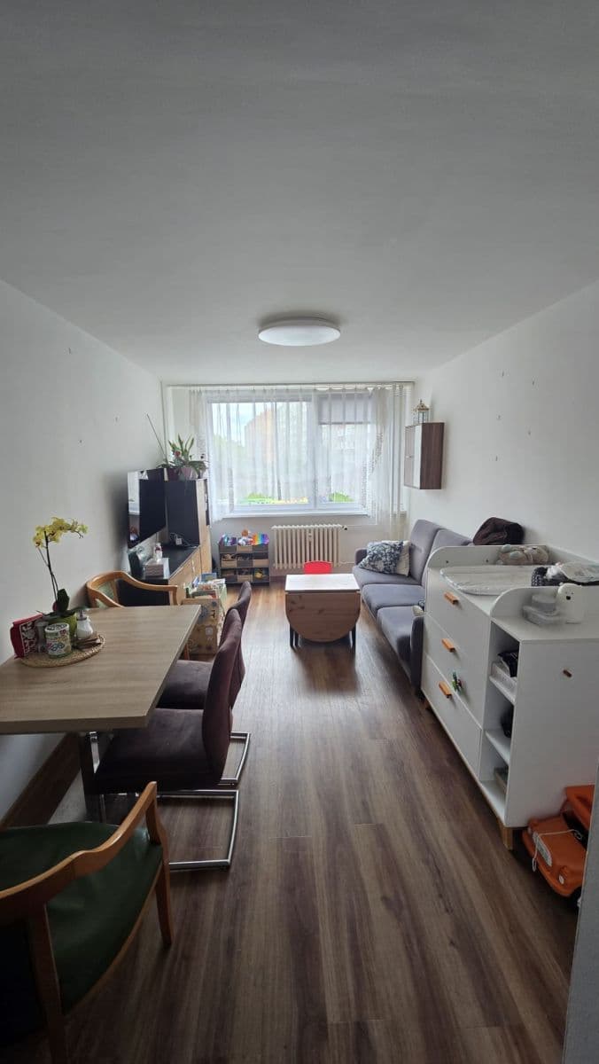 1 bedroom with open-plan kitchen flat to rent, 49 m², Milánská, Prague, Prague 1 bedroom with open-plan kitchen flat to rent, 49 m², Milánská, Prague, Prague