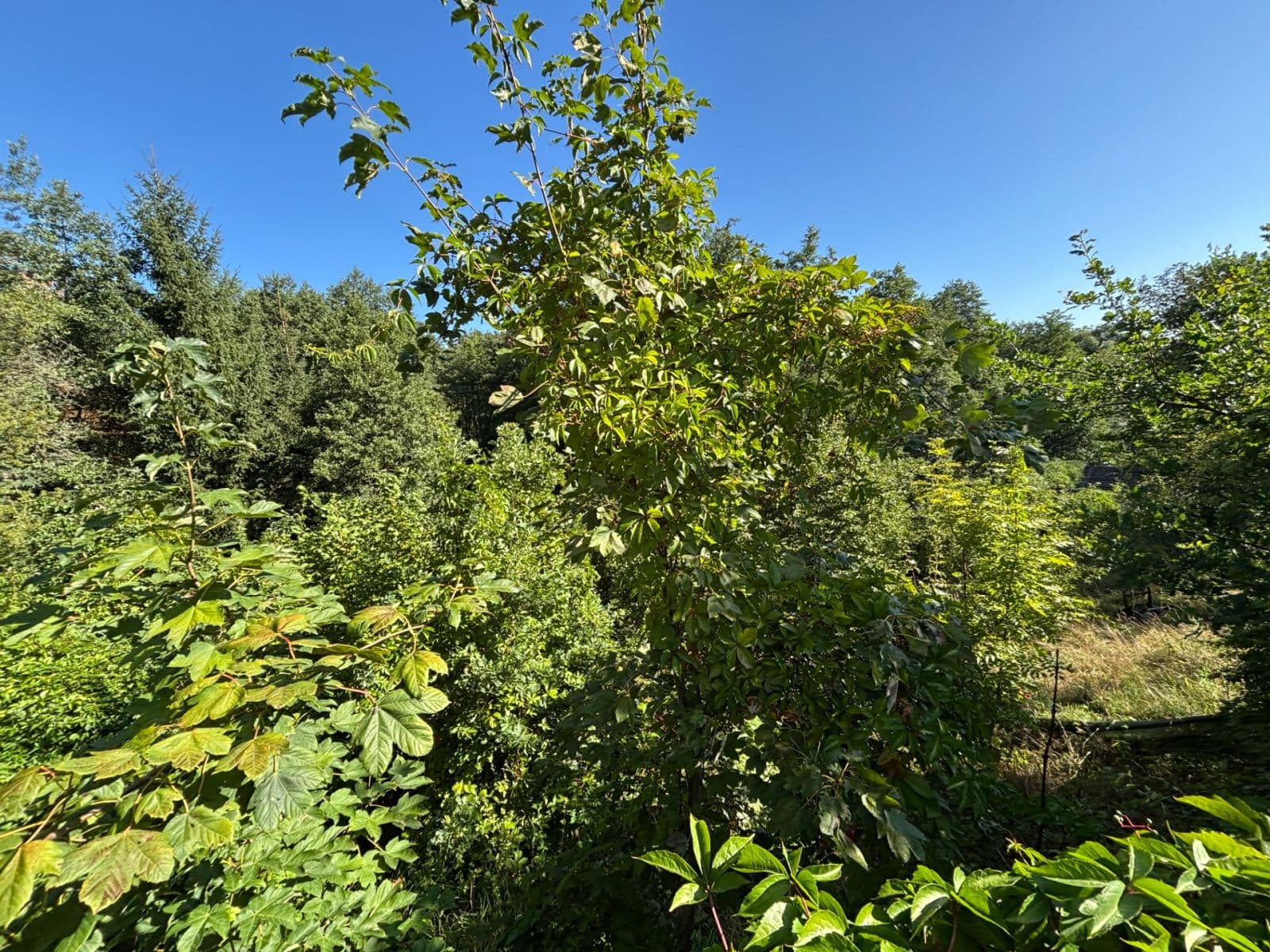 plot for sale, 494 m², Dlouhá, Karlovy Vary, Karlovarský Region plot for sale, 494 m², Dlouhá, Karlovy Vary, Karlovarský Region