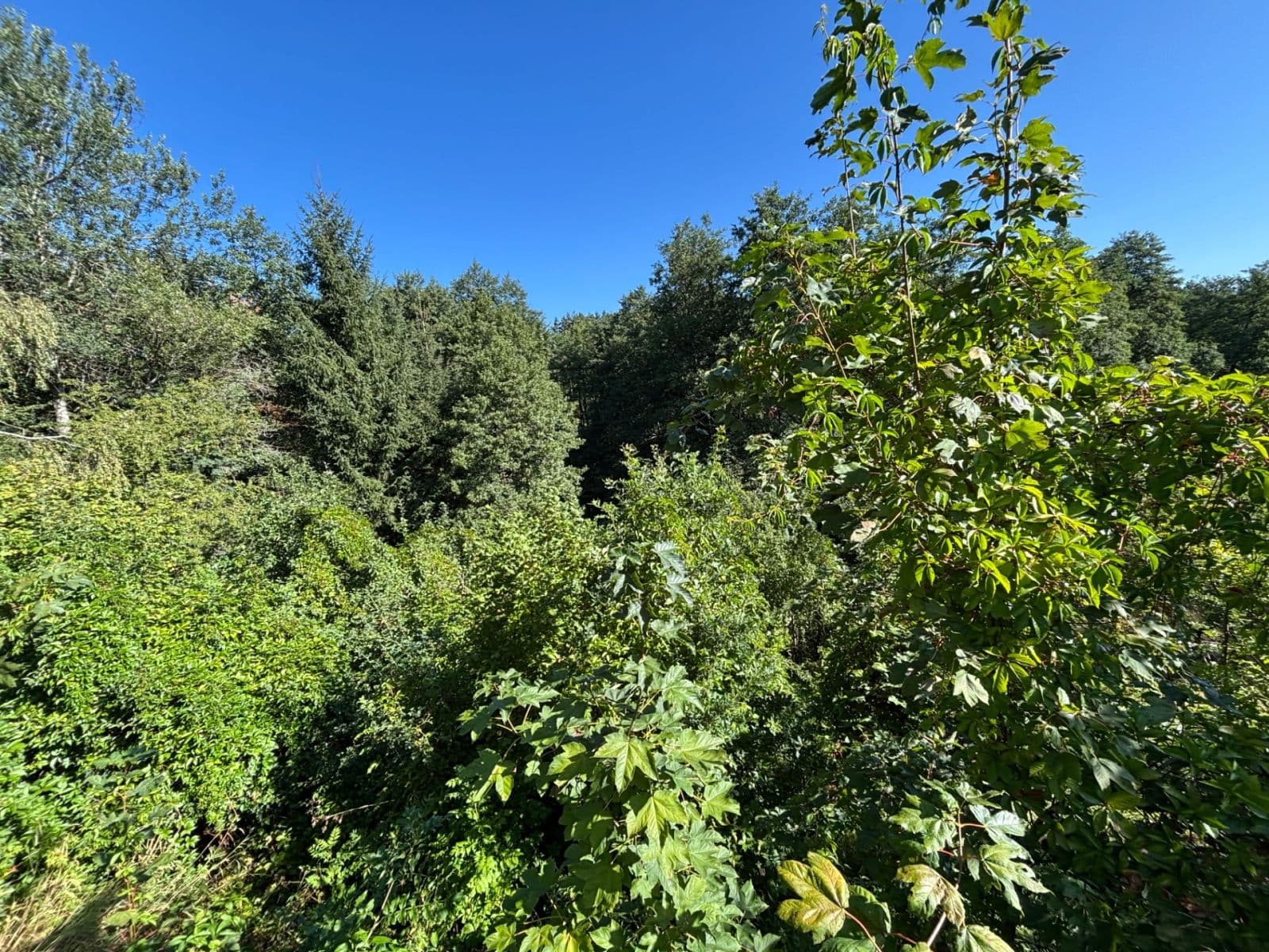 plot for sale, 494 m², Dlouhá, Karlovy Vary, Karlovarský Region plot for sale, 494 m², Dlouhá, Karlovy Vary, Karlovarský Region