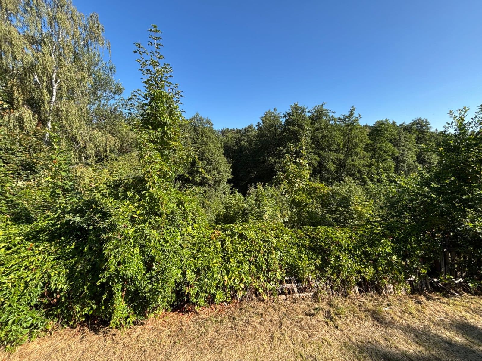 plot for sale, 494 m², Dlouhá, Karlovy Vary, Karlovarský Region plot for sale, 494 m², Dlouhá, Karlovy Vary, Karlovarský Region