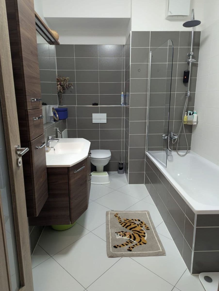 1 bedroom with open-plan kitchen flat to rent, 54 m², Lovosická, Prague, Prague 1 bedroom with open-plan kitchen flat to rent, 54 m², Lovosická, Prague, Prague