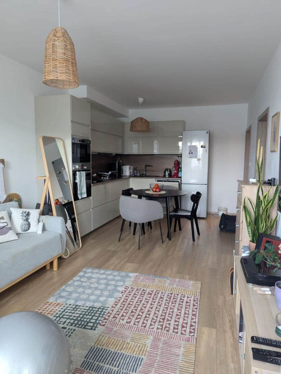1 bedroom with open-plan kitchen flat to rent, 54 m², Lovosická, Prague, Prague 1 bedroom with open-plan kitchen flat to rent, 54 m², Lovosická, Prague, Prague