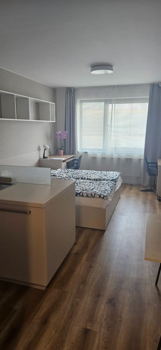 Studio flat to rent, 40 m², Studentská, Brno, Jihomoravský Region Studio flat to rent, 40 m², Studentská, Brno, Jihomoravský Region