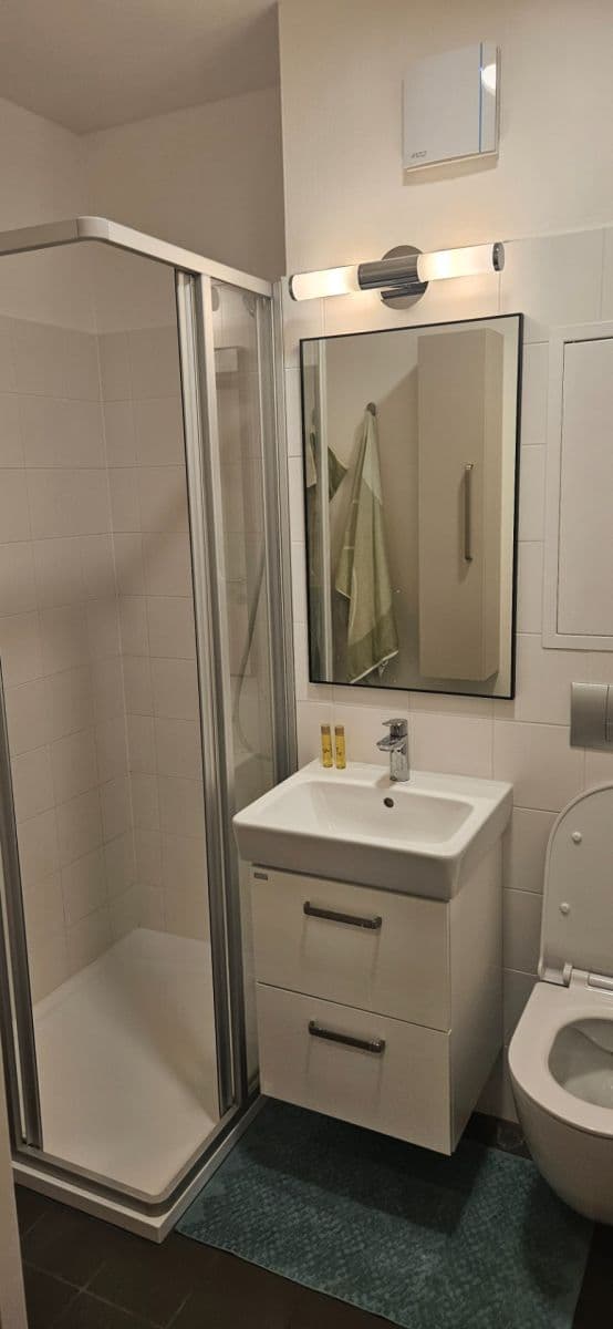 Studio flat to rent, 40 m², Studentská, Brno, Jihomoravský Region Studio flat to rent, 40 m², Studentská, Brno, Jihomoravský Region
