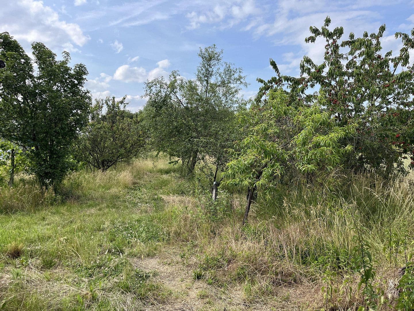 plot for sale, 1,800 m², Ludwigshafen am Rhein, Rhineland-Palatinate plot for sale, 1,800 m², Ludwigshafen am Rhein, Rhineland-Palatinate