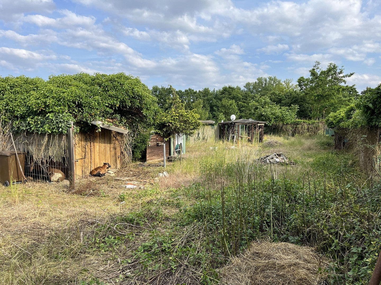 plot for sale, 1,800 m², Ludwigshafen am Rhein, Rhineland-Palatinate plot for sale, 1,800 m², Ludwigshafen am Rhein, Rhineland-Palatinate