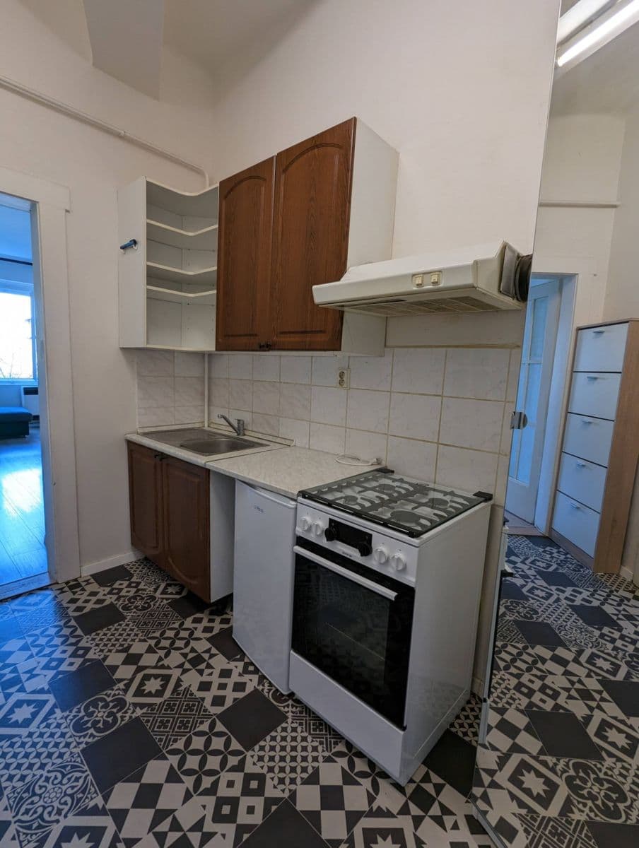 1 bedroom with open-plan kitchen flat to rent, 56 m², Pernerova, Prague, Prague 1 bedroom with open-plan kitchen flat to rent, 56 m², Pernerova, Prague, Prague