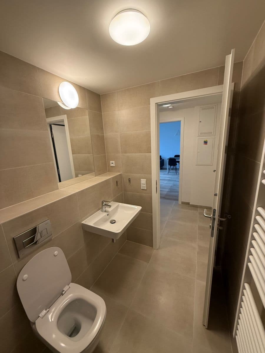 1 bedroom with open-plan kitchen flat to rent, 47 m², Hodkovická, Prague, Prague 1 bedroom with open-plan kitchen flat to rent, 47 m², Hodkovická, Prague, Prague